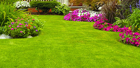 tuinonderhoud klus